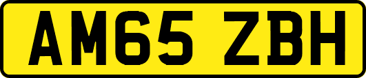 AM65ZBH