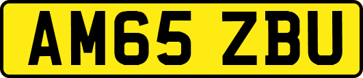 AM65ZBU