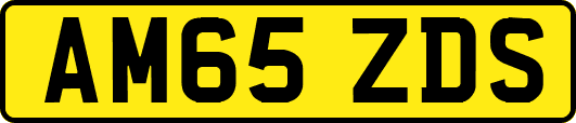 AM65ZDS