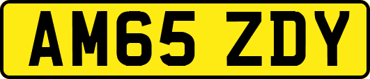 AM65ZDY