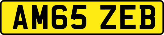 AM65ZEB