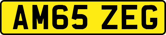 AM65ZEG
