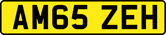 AM65ZEH
