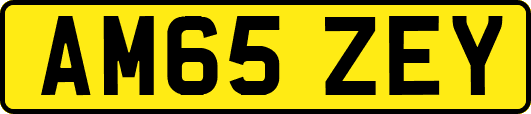 AM65ZEY