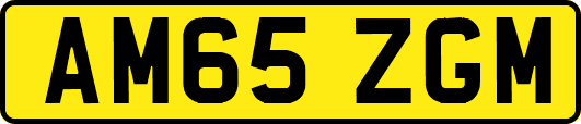 AM65ZGM