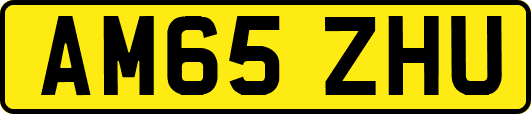 AM65ZHU