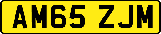 AM65ZJM