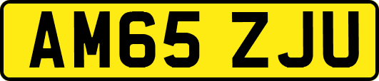 AM65ZJU