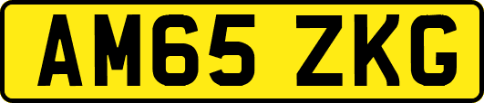 AM65ZKG
