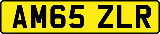 AM65ZLR