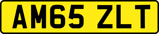 AM65ZLT