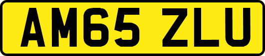 AM65ZLU