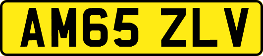 AM65ZLV