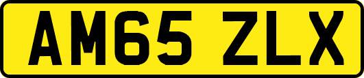 AM65ZLX