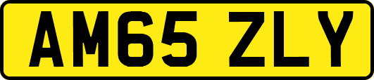 AM65ZLY