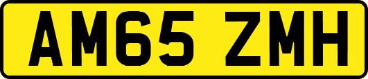 AM65ZMH