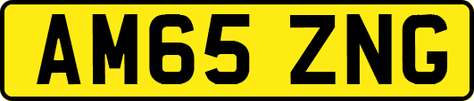 AM65ZNG