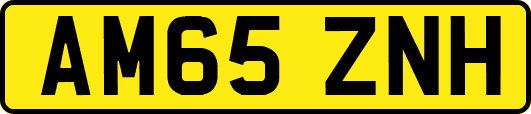 AM65ZNH