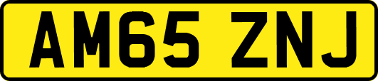 AM65ZNJ