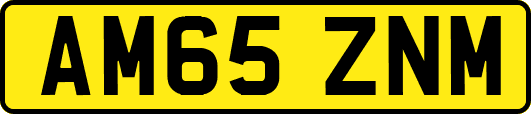AM65ZNM