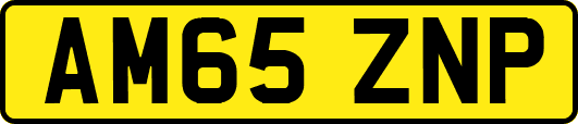 AM65ZNP