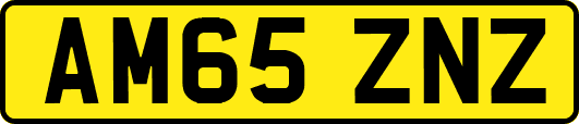 AM65ZNZ