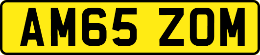 AM65ZOM