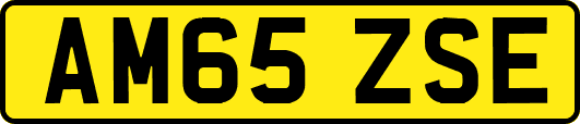 AM65ZSE