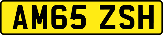 AM65ZSH