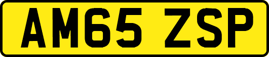 AM65ZSP