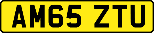 AM65ZTU