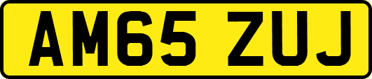 AM65ZUJ
