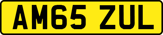 AM65ZUL