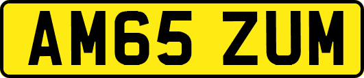 AM65ZUM