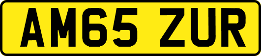 AM65ZUR