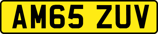 AM65ZUV