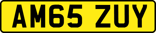 AM65ZUY