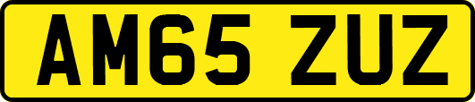 AM65ZUZ