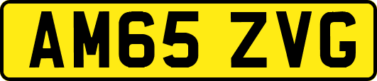 AM65ZVG