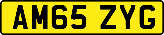 AM65ZYG
