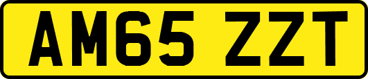 AM65ZZT