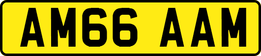AM66AAM