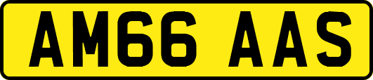 AM66AAS