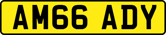 AM66ADY