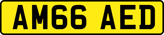 AM66AED
