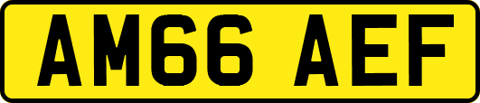 AM66AEF