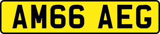 AM66AEG