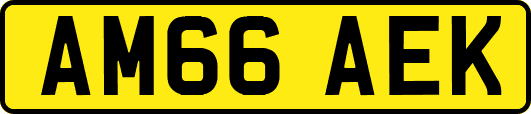 AM66AEK