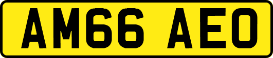 AM66AEO