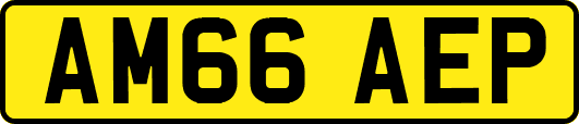AM66AEP